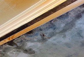 家裡需要做防水❔3分鐘自我檢查⚡⚡